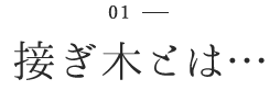 接ぎ木とは…