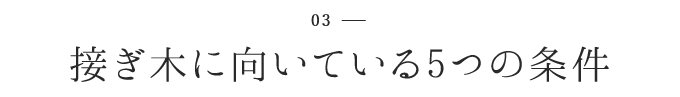 接ぎ木に向いている5つの条件