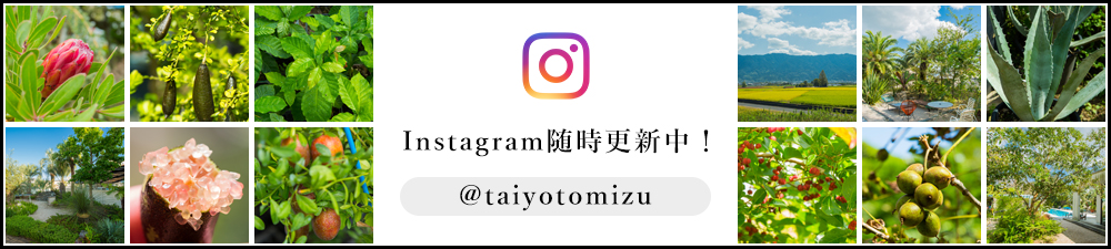 インスタグラム