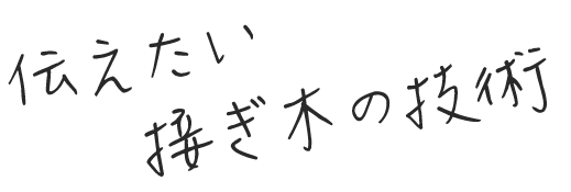 伝えたい接ぎ木の技術